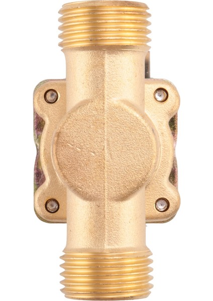 1/2 Inç Ac 220V Normalde Kapalı Pirinç Elektrik Solenoid Manyetik Valf Su Kontrolü Kimyasal Sıvı Endüstri Pompaları (Yurt Dışından) fırsatları