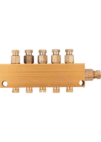 Yağlama Yağ Distribütörü Hava Basıncı Düzenleyici Distribütör Manifold Bloğu 6mm Giriş 4mm Out Yağ Piston Distribütörü Bahçecilik (1 Giriş 5 Çıkış) (Yurt Dışından)