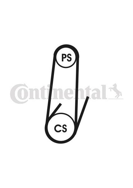 Contı 4PK1022ELAST - Kanallı Kayış Palıo-Albea-Doblo-Lınea-Strada 1.3 Jtd-Mtıjet 04 Elast