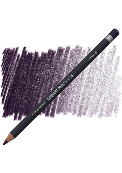 Procolour Kuru Boya Kalemi 25 Grape