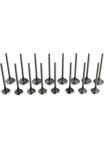 16 Pc Audi A3 A4 A5 A6 Vw Gol Gtı Tiguan Passat B7 cc Jetta 06D 109 601 M 06D 109 611 H (Yurt Dışından)