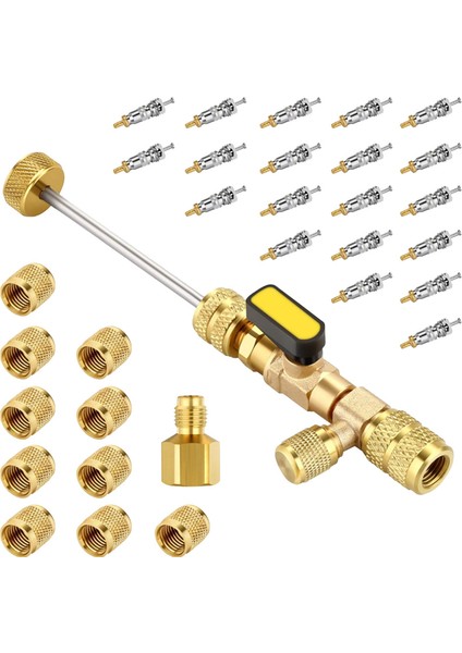 R22 R12 R407 R410 R404 R32 R600 Ile Iki Boyutlu 1/4 ve 5/16 Port ile Valf Çekirdek Çıkarma Takım Kiti Takım Kiti (Yurt Dışından)
