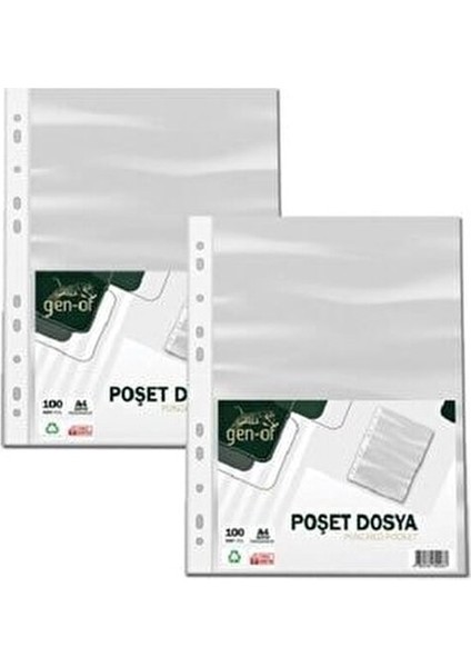 Şeffaf Poşet Dosya 100 Adet A4 Boyutunda İki Paket ile Evraklarınızı Güvenle Saklayın fiyatları