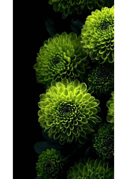 Yeşil Çiçek 1 Ev Duvar Salon Güzellik Salonu Ofis Dükkan Dekarasyon Kanvas Tablo fiyatları