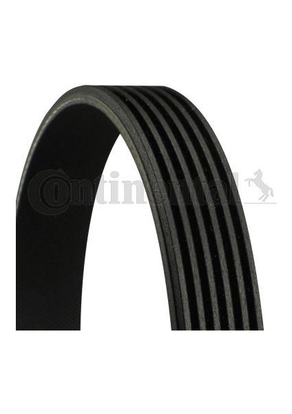 Contı 6PK2175 - Kanallı Kayıs Ford Fıesta 1.3 8V 02 08 . Mercedes W201 W124 S124 W126 R129 W461 W463