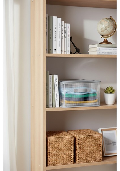 Şeffaf Saklama Organizeri | 2 Adet | Şerit Desenli | Fermuarlı, Pencereli, Çelik Destekli, Katlanabilir Çok Amaçlı Organizer