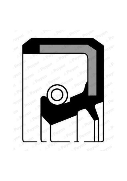 NF791 - Ön Aks Keçesi Sağ/sol R9-R11-R19-CLIO-MEGANE