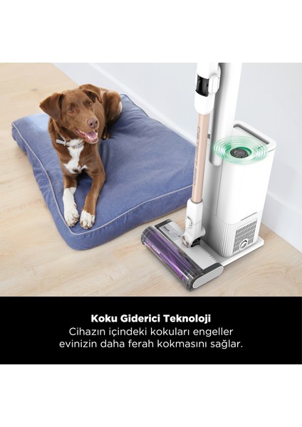 Detect Pro Auto-Empty Sistemli Şarjlı Dikey Süpürge 2l - IW3611EU