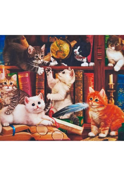 5d Elmas Taş Işleme Kiti 40X50 cm Kediler ve Kitaplar Desen fiyatları