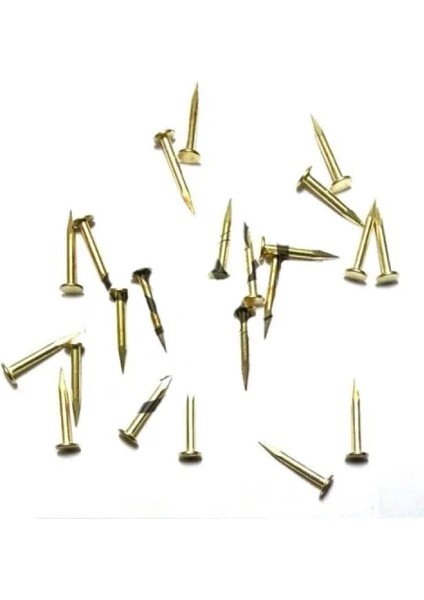 Klips, Menteşe, Ayağı Çivisi 9mm Çelik - Sarı 100GR