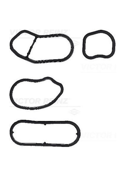 V.reınz 151004901 - Yag Fıltre Contası Bmw B38