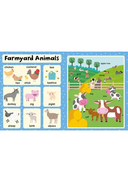 My First 1000 Words fiyatları