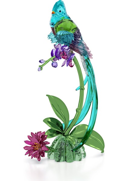 5682123 Swarovski Ev Dekorasyonu Idyllıa:quetzal And Orchıd