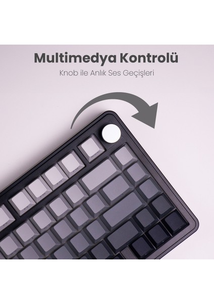 Beast 75 Kablosuz Mekanik Klavye fiyatları