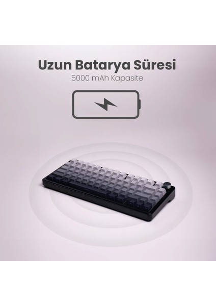 Beast 75 Kablosuz Mekanik Klavye fırsatları