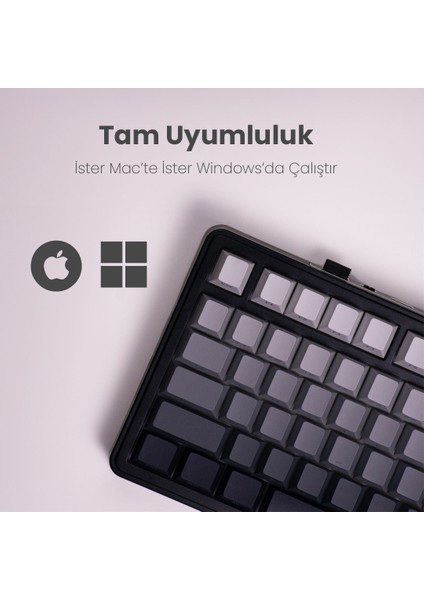 Beast 75 Kablosuz Mekanik Klavye indirimleri