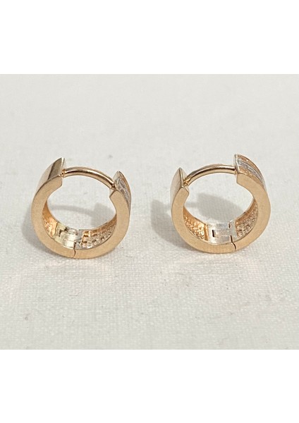 Sıra Taşlı Rose Halka Küpe indirimleri