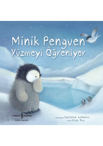 Minik Penguen Yüzmeyi Öğreniyor