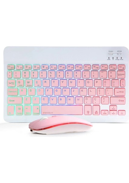 ZR955 Pembe Rgb Km Set