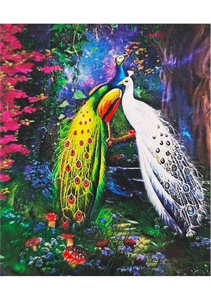 5d Elmas Taş Işleme Kiti 40X50 cm Tavus Kuşları Desen fiyatları