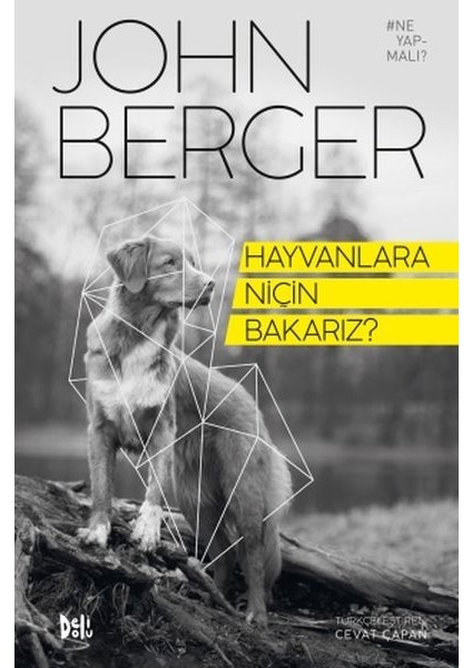 Hayvanlara Niçin Bakarız?