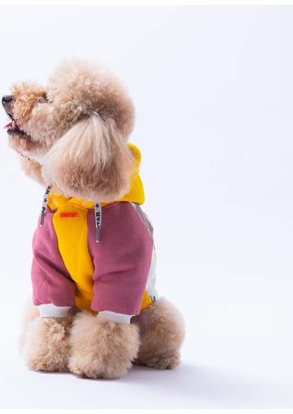 Sarı Rio Köpek Hoodie Köpek Sweat Köpek Kıyafeti Kedi Kıyafeti fırsatları