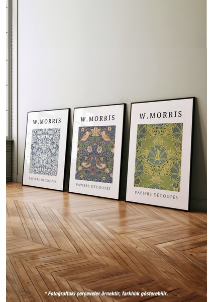 W Morris 3'lü Siyah Çerçeveli Poster, Tablo Seti No:4 fırsatları