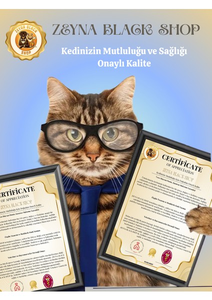 Büyük Boy | 117 cm Çok Katlı Kedi Tırmalama Tahtası | Beyaz Renk | Peluş Kaplama | Modern Tasarım | Kediler Için Oyun, Tırmalama, Dinlenme ve Yatak Alanı Sunan Dayanıklı ve Şık Kedi Mobilyası