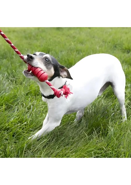 Dental Diş Temizliği Sağlayan Ip Sallantılı Köpek Çiğneme Oyuncağı S