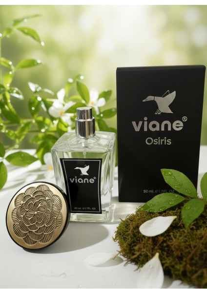 Osiris Eau De Erkek Parfüm – Çekim Gücünün ve Tutkunun Eros Esintisi 50 ml modelleri