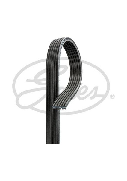Kanallı Kayış Çift Kanallı Pas Ym Bora Golf Iv-Polo 68381D x C