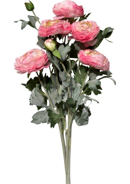 Pembe Erengül Demeti 5'li