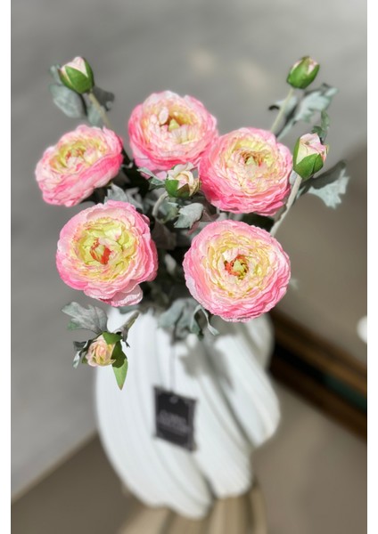 Pembe Erengül Demeti 5'li fiyatları