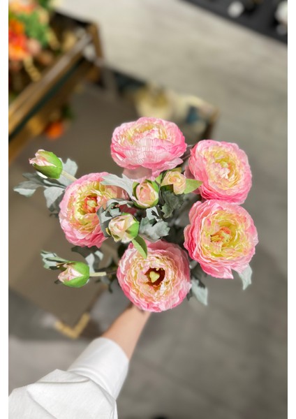 Pembe Erengül Demeti 5'li modelleri