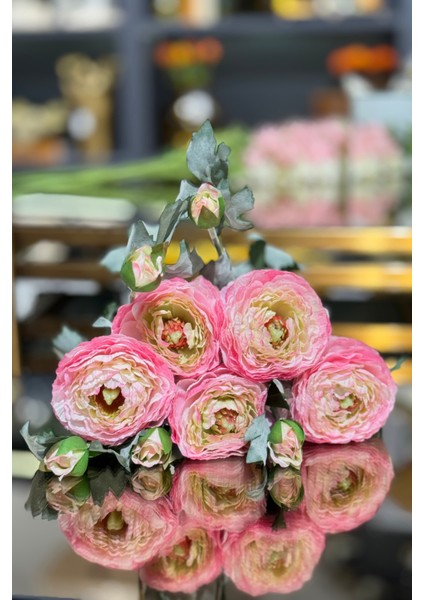 Pembe Erengül Demeti 5'li indirimleri