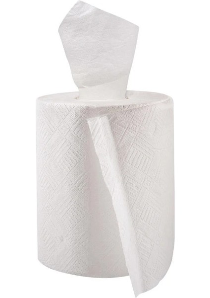Wanda Soft Extra Içten Çekmeli Kağıt Havlu 5 kg fırsatları