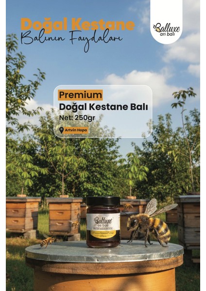 Premium Doğal Kestane Balı Net: 250 gr