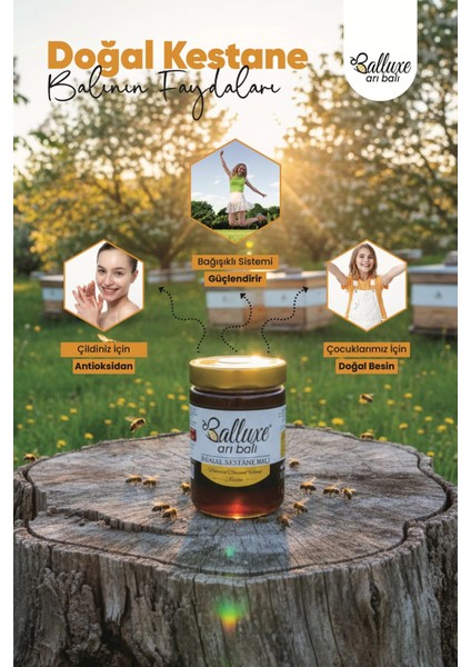 Premium Doğal Kestane Balı 1000 gr
