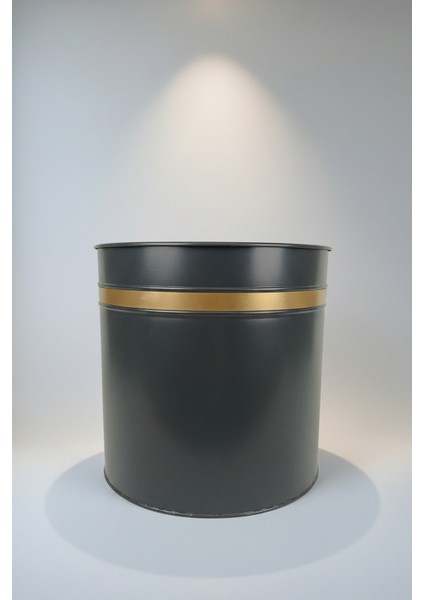 Zenith 30x30 cm Altın Şeritli Silindir Saksı - İç ve Dış Mekan Modern Metal Saksılık
