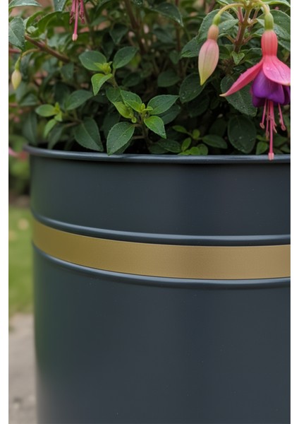 Zenith 30x30 cm Altın Şeritli Silindir Saksı - İç ve Dış Mekan Modern Metal Saksılık fırsatları