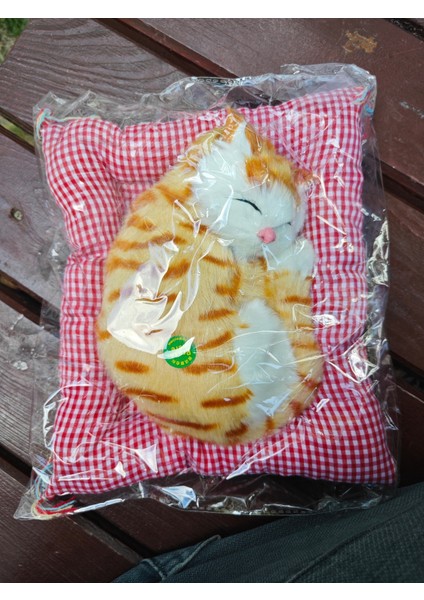 Sesli Uyuyan Kedi