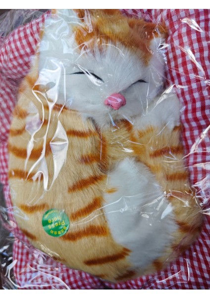 Sesli Uyuyan Kedi modelleri
