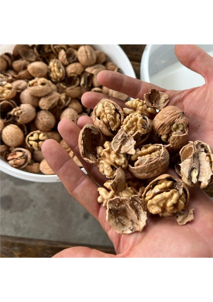 CKK45 Ceviz ve Fındık Kırma Makinesi - ZENTRACKK45 fırsatları