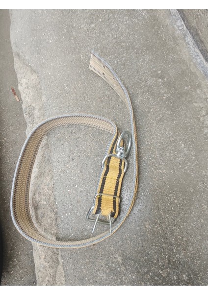 Dana Tasması Tek Katlı Sağlam Kalın Polyester 1.30 cm 1 Adet fiyatları