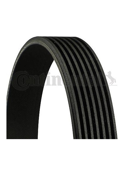 Kanallı Kayış Ford Transıt 300 330 350 403 460 2.4tdcı 16V 2.4tdcı 20V 3.2tdcı 06