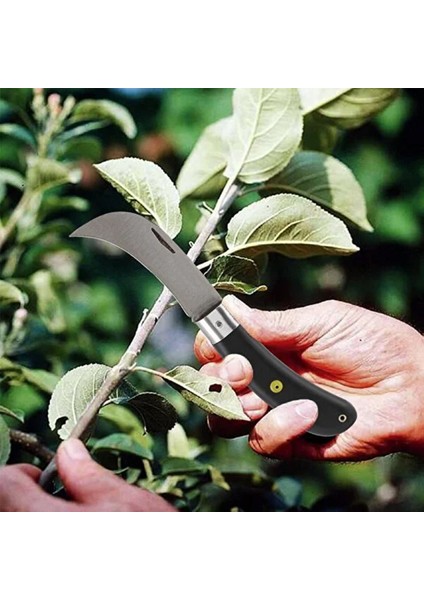 Desan Eğri Aşı Bıçağı Bağ Bıçağı Paslanmaz Ceviz Aşı Çakısı 20 cm No 3 Siyah Plastik Saplı modelleri