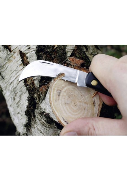 Desan Eğri Aşı Bıçağı Bağ Bıçağı Paslanmaz Ceviz Aşı Çakısı 20 cm No 3 Siyah Plastik Saplı fırsatları