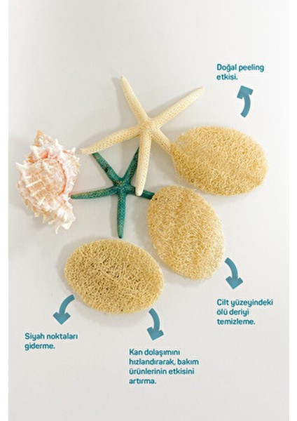 Doğal Kabak Banyo Kese Eldiveni ve 6 Adet Peeling Disk