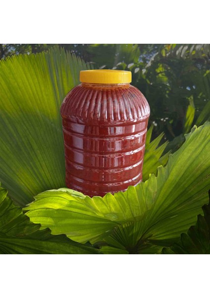 Domates Salçası 2025