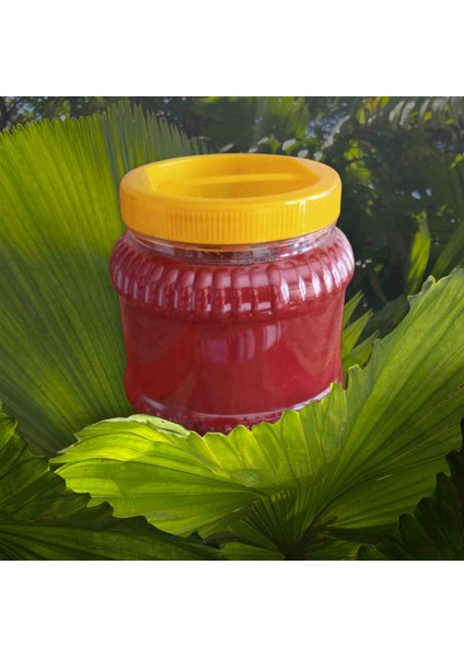 Domates Salçası 2025